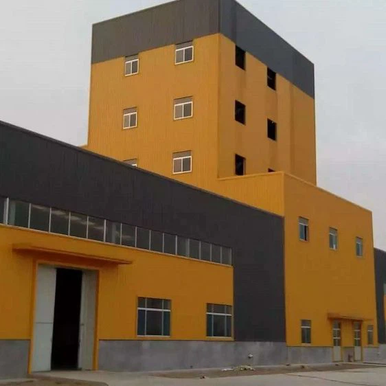 High Rise Steel Structure Buildings